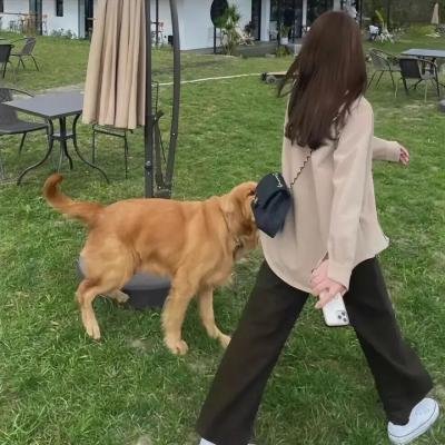 大脚野人日落